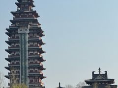 -微山岛春天里酒家