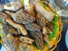 -菌海森林·非遗野生菌火锅(西山区滇池路摩根道店)