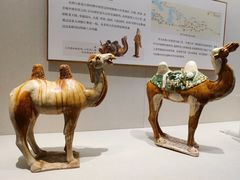 -深圳博物馆(古代艺术馆)
