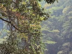 -赤水丹霞旅游区·大瀑布