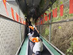 -仙岛湖旅游风景区