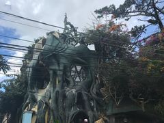 -疯狂屋