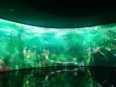 -中国湿地博物馆
