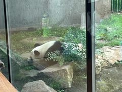 -沈阳森林动物园