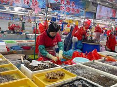 -大东海海鲜酒楼(渔人码头总店)