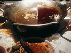 -九鼎轩脆毛肚火锅(三钢里店)