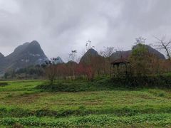 -靖西鹅泉风景区