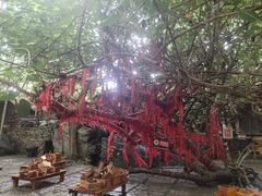 -海南槟榔谷黎苗文化旅游区