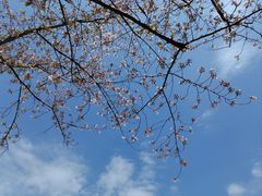 -尚湖风景区