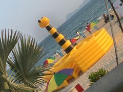 -广东惠东海龟国家级自然保护区