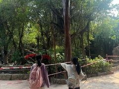 -长鹿旅游休博园