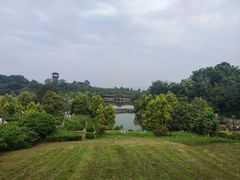 -张坝桂圆林公园