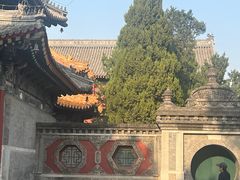 -北京艺术博物馆(万寿寺)