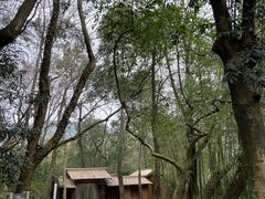 -兰亭风景区