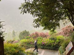 -雁荡山风景名胜区