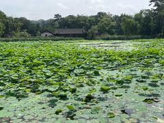 -承德避暑山庄景区