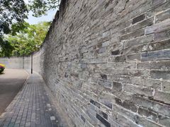 -桂湖森林公园