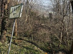 -镇江市南山风景名胜区竹林景区