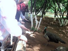 -昆明动物园
