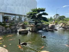 -罗红摄影艺术馆