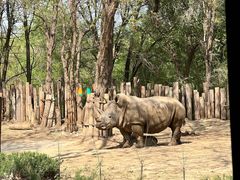 -北京野生动物园