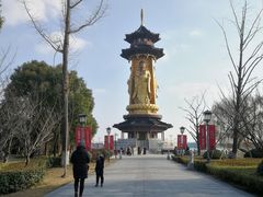 -溱湖国家湿地公园