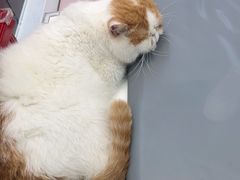 -福田卓悦INTOWN购物中心