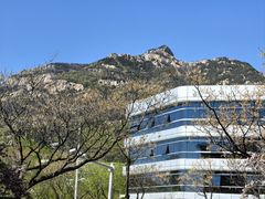 -华夏良子·足道SPA艾灸(龙潭路店)