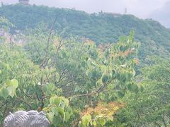 -崆峒山景区