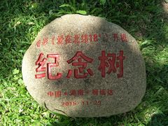 -呀诺达热带雨林