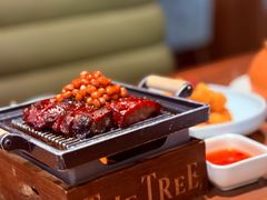 -大树餐厅(益田假日店)