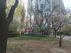 -北京银行(朝阳支行)