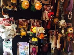 -百好乐宠物友好餐厅(朝外大街店)