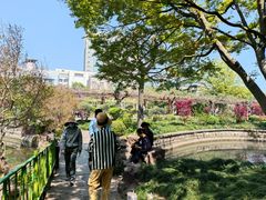 -嘉定紫藤园