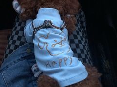 -瑞派福兴宠物医院犬猫全科·骨科·中西医结合(河东店)