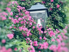 -颐和路民国时期公馆-风貌区