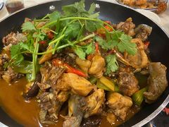 红烧甲鱼鸡煲-德优正宗川菜馆