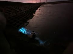 -小黑石海滨浴场·停车场