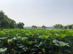 -长春市南湖公园