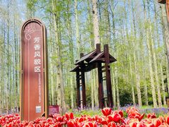 -东平国家森林公园