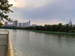 -莲花池公园