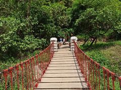 -梧桐山风景名胜区