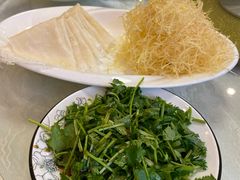 -丁老爷子苏香圆