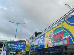 -Big Bus Tours 敞篷观光巴士