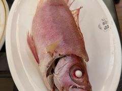 -吴记富苑(朝阳店)