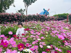 -武汉紫薇都市田园
