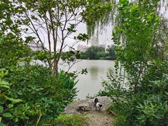 -南通濠河风景名胜区