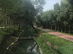 -北坞公园