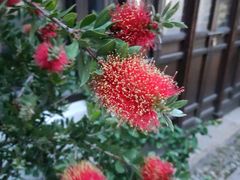 -西汇饭店(甪直店)