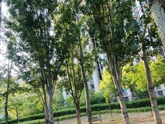 -京粮广场